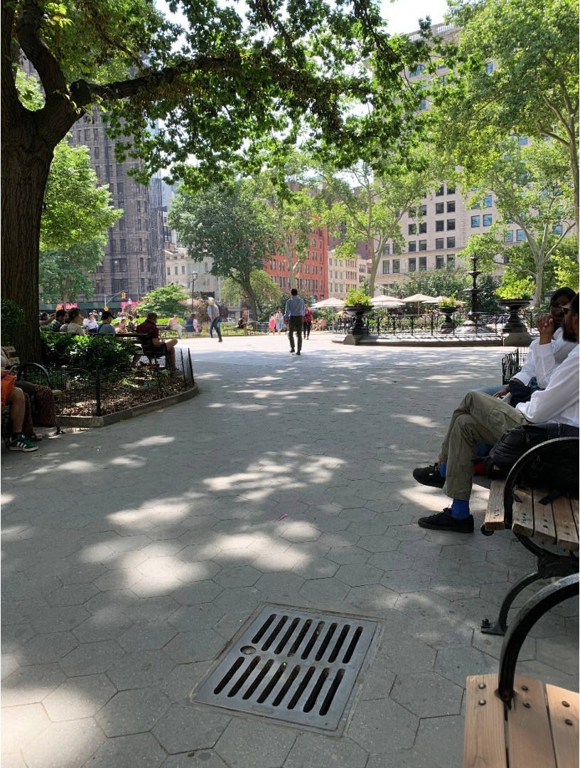 People sitting on benches in a park with trees and buildings in the background